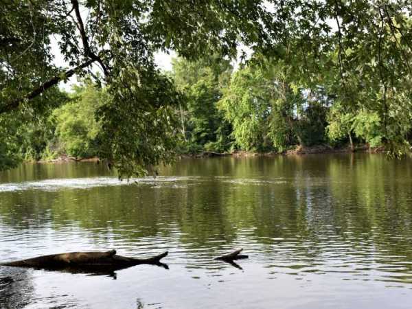 Chief Hazy Cloud&nbsp;Park