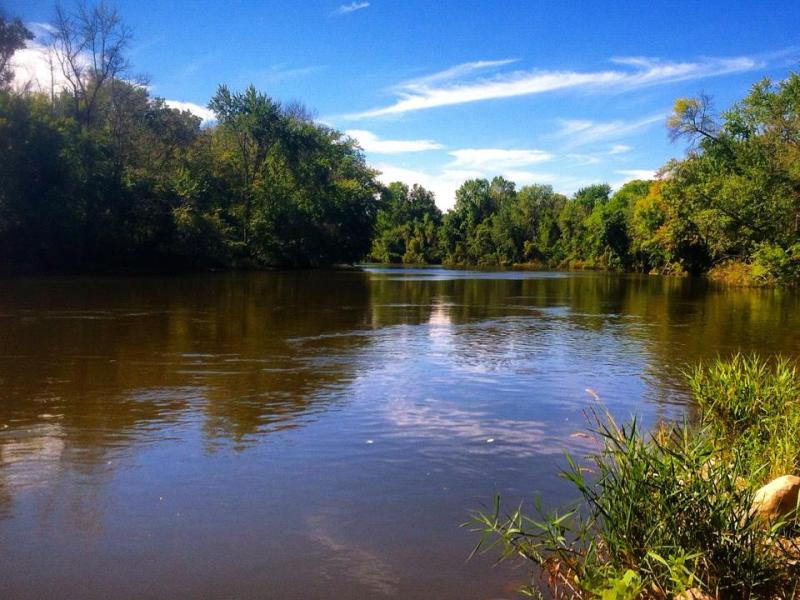 Lake Sturgeon Restoration