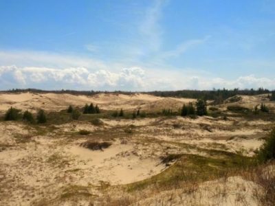 Michigan Dune Alliance
