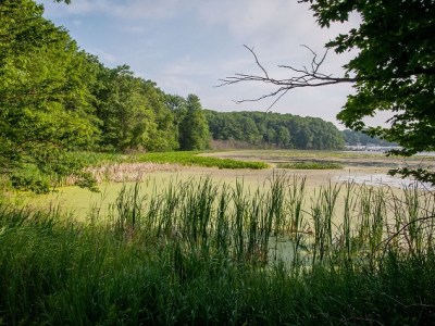Ottawa Sands County&nbsp;Park