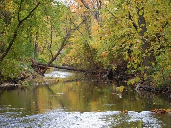 Plaster Creek Stewards