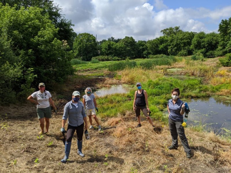 Lower Grand River Organization of&nbsp;Watersheds