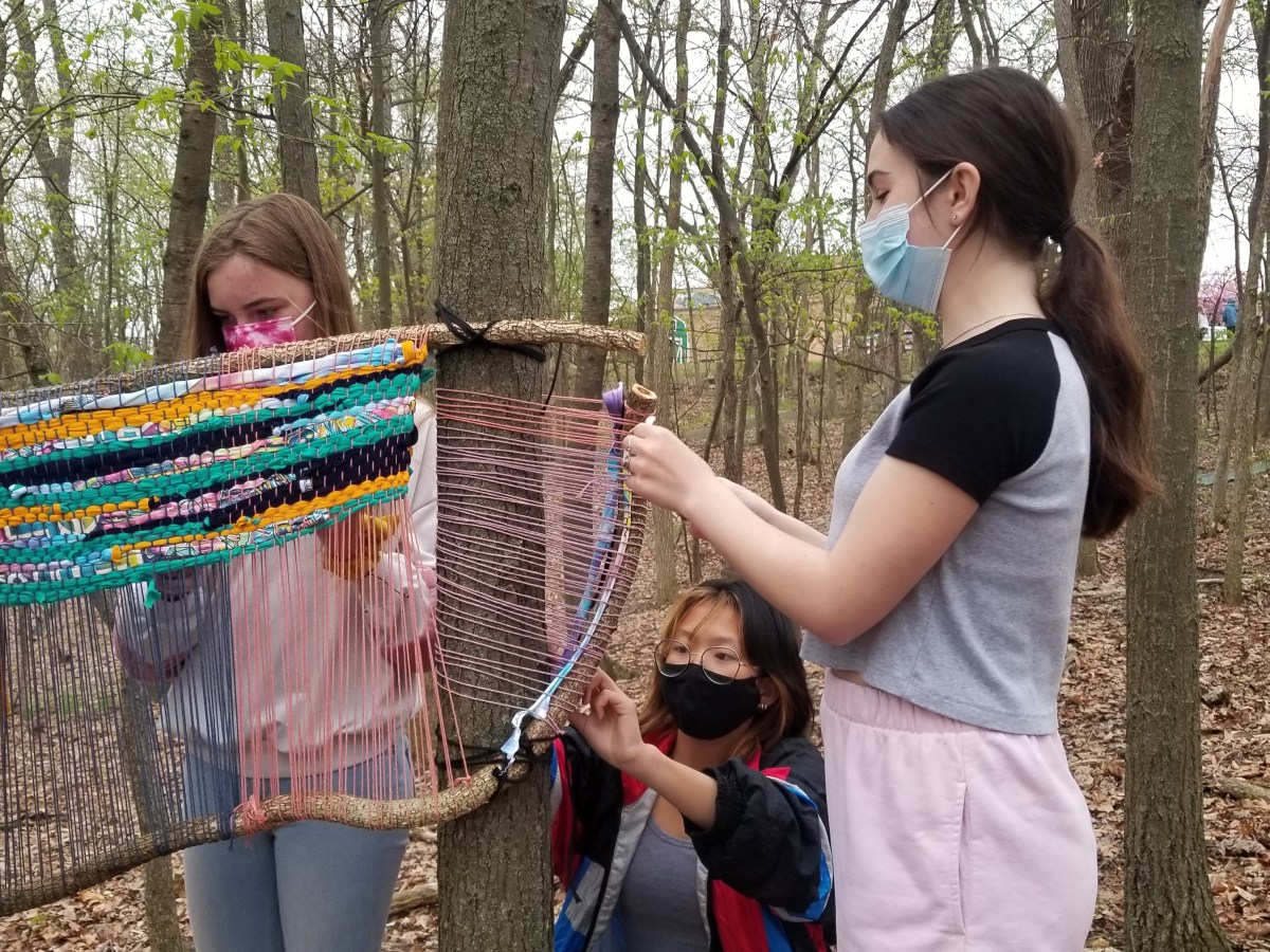 Forest Hills Schools Invasive Species Forest&nbsp;Weaving