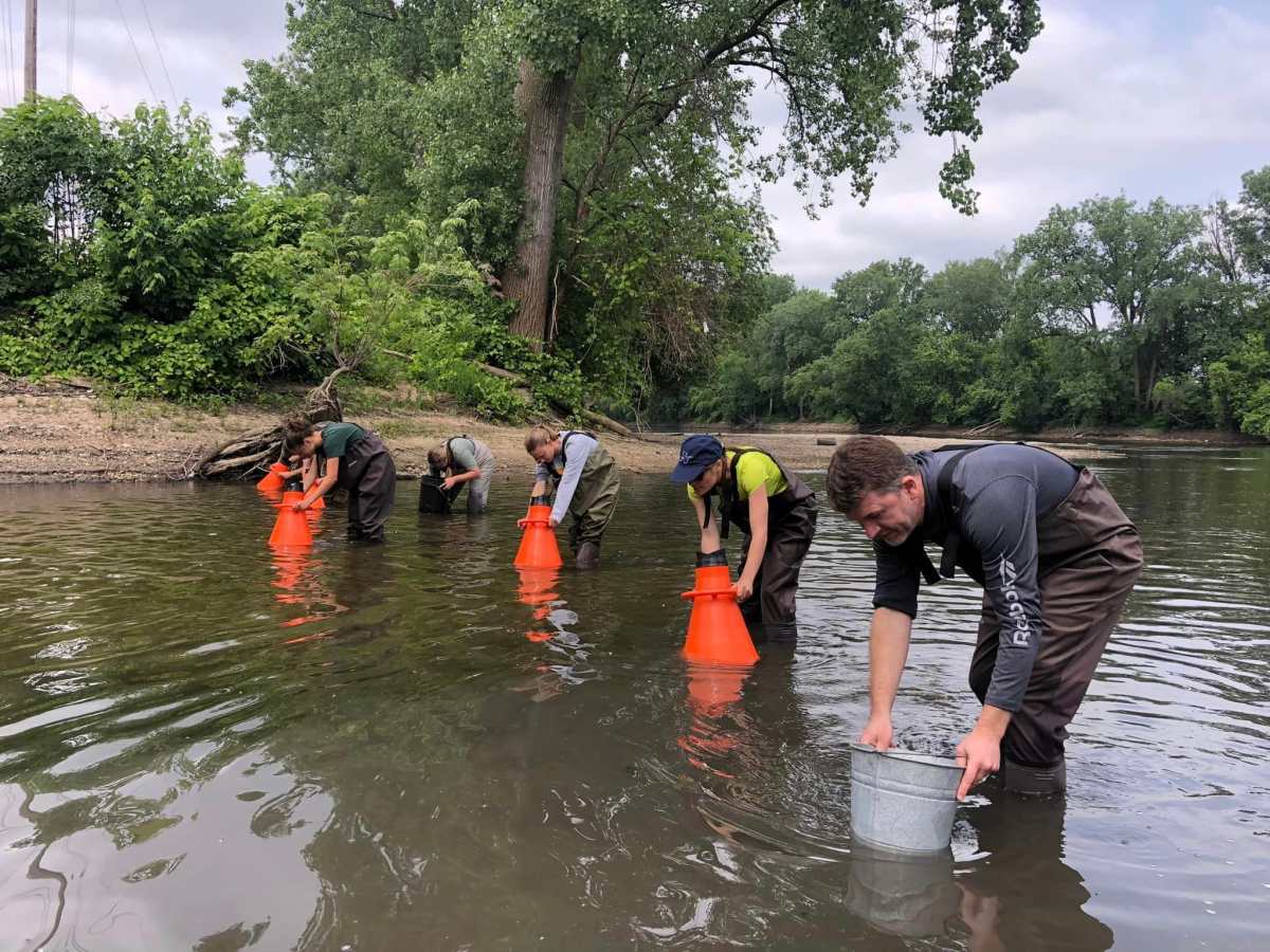 Summer survey finds mussels in Plaster&nbsp;Creek