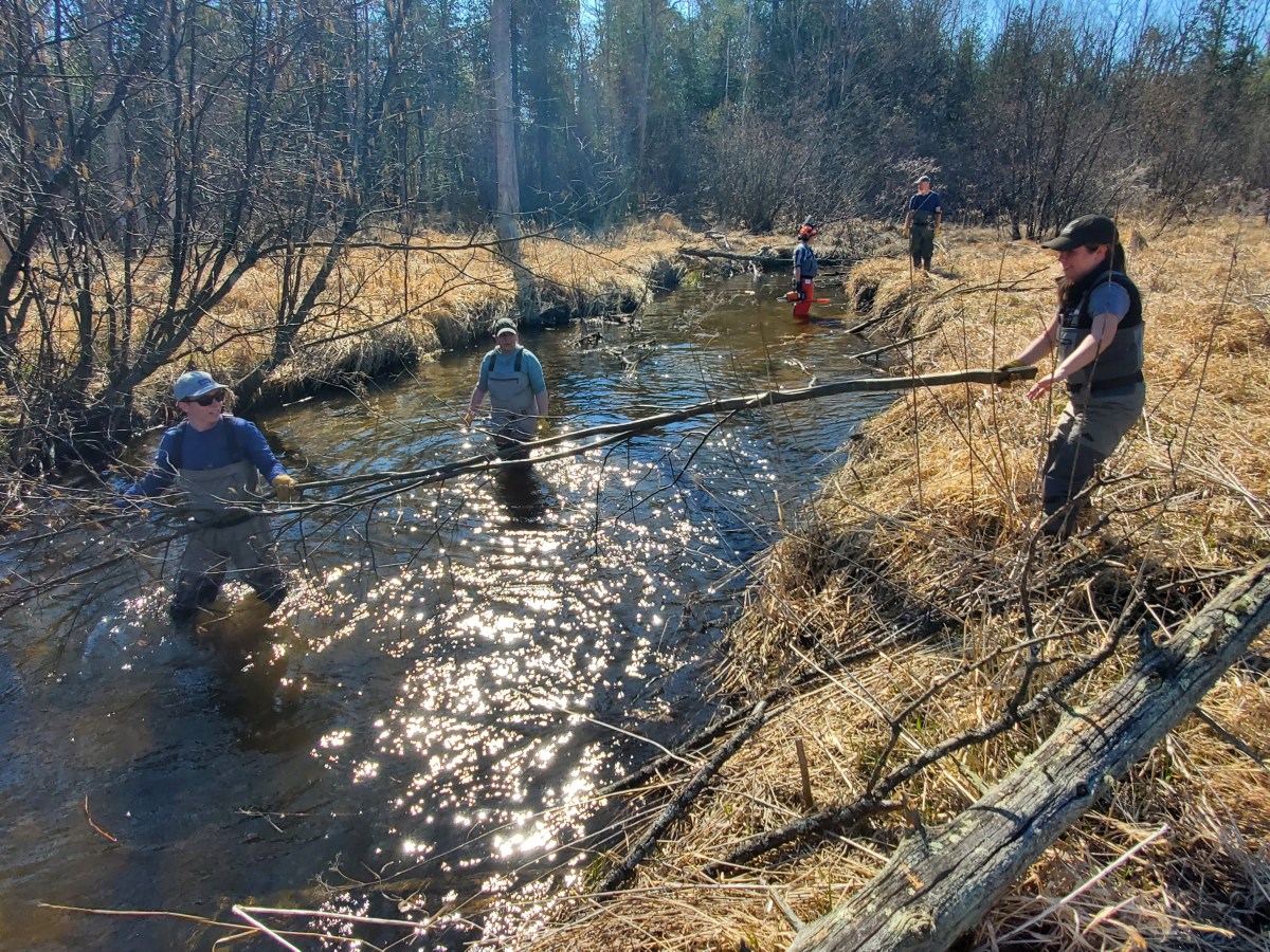 The Land Conservancy of West Michigan protects ecologically critical natural&nbsp;land