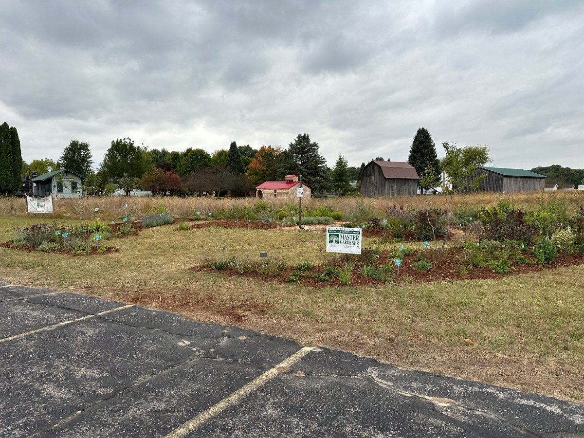 Montcalm Area Master Gardener Association’s “All That&nbsp;Flutters”