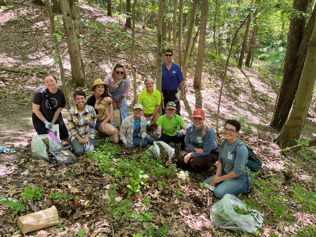 Joyful Wildcrafting is a collaborative approach to invasive plant management that is beyond&nbsp;eradication.